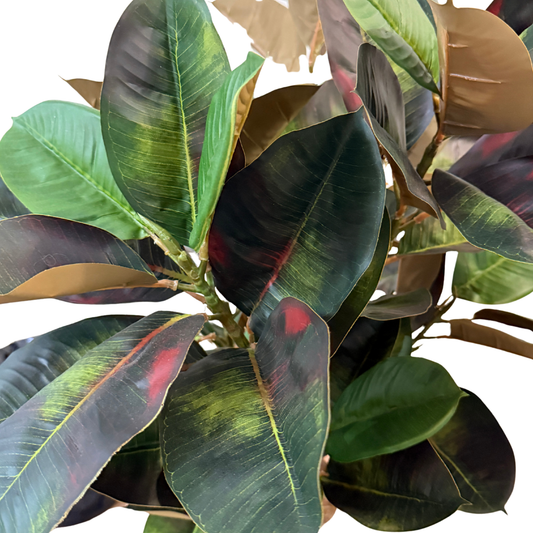 Árbol Artificial Ficus Borgoña 1 DCM – Elegancia Atemporal