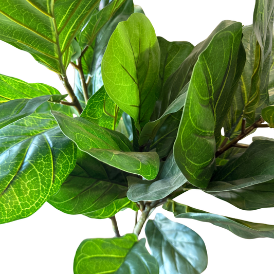 Ficus Pandurata Artificial Premium - 120 cm de Elegancia Botánica