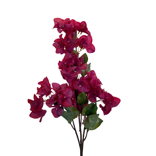 Vara de Bugambilia Imperial - Rosa Profundo