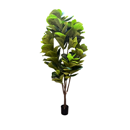 Ficus Pandurata Jumbo Artificial