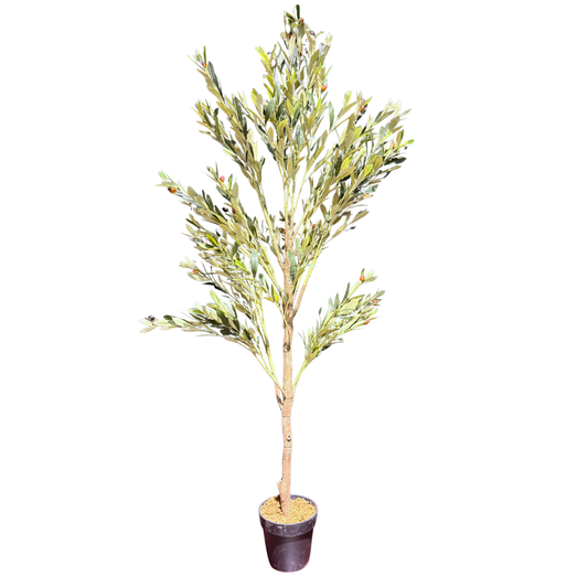 Olivo Artificial Premium en Maceta