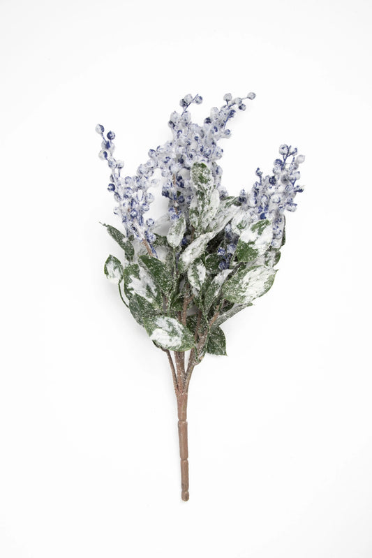 Vara de Blueberry Nevada