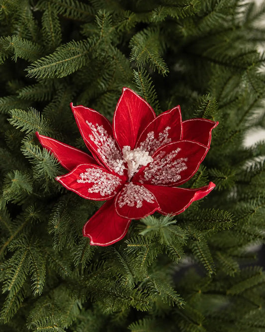 Flor de Nochebuena Roja en Terciopelo