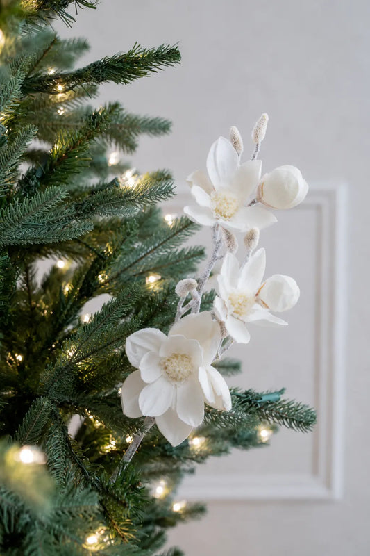 Vara de Magnolia Nevada