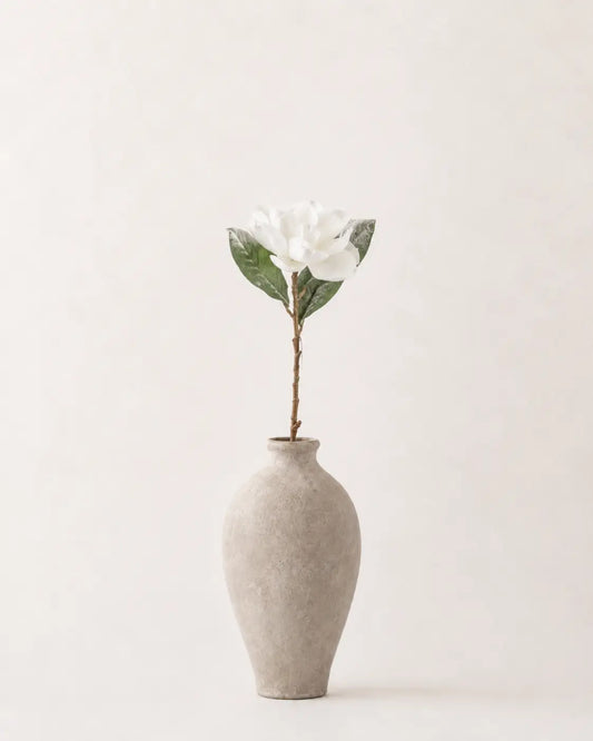 Flor de Magnolia Blanca Nevada