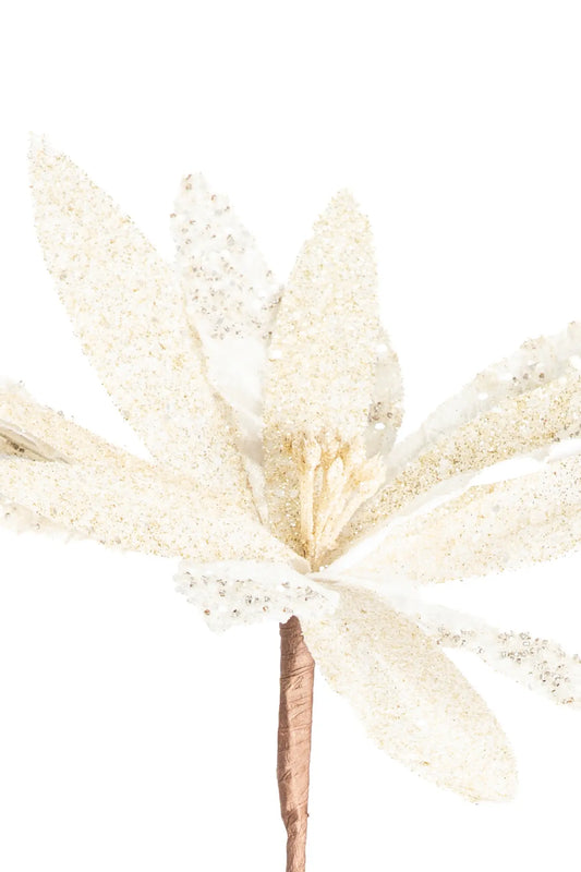 Flor de Nochebuena de Terciopelo Marfil