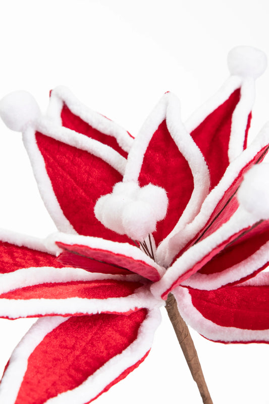 Flor de Nochebuena de Terciopelo Roja con Orilla de Peluche
