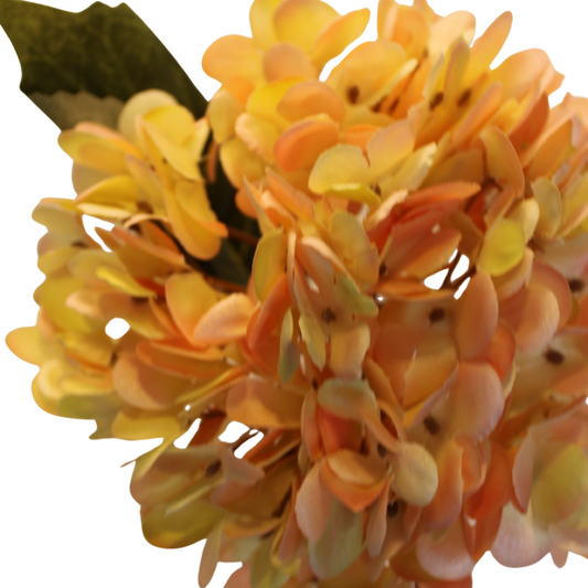 Vara de Hortensia Premium - Naranja Otoñal