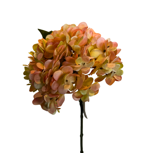 Vara de Hortensia Premium - Naranja Otoñal