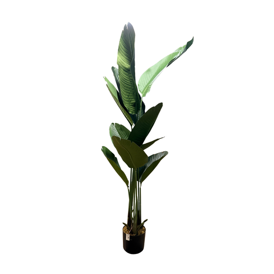PLANTA ARTIFICIAL HOJA PLÁTANO CTIA