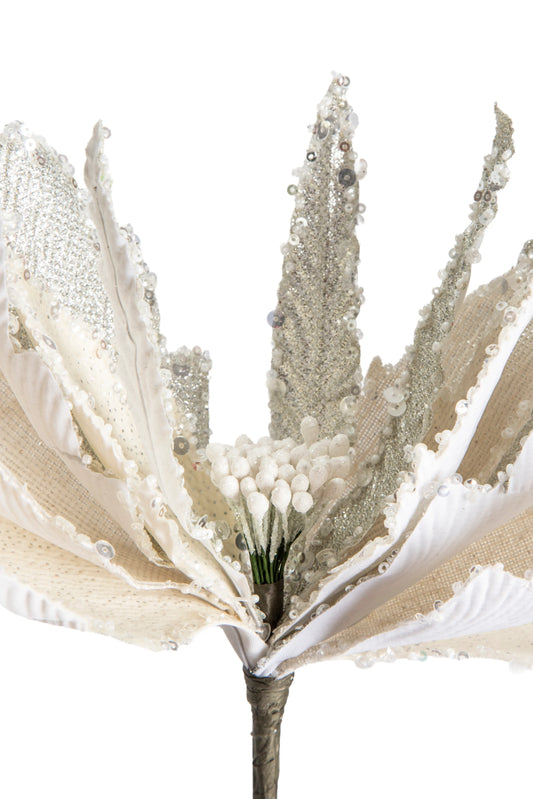Flor de Nochebuena Crema Champagne