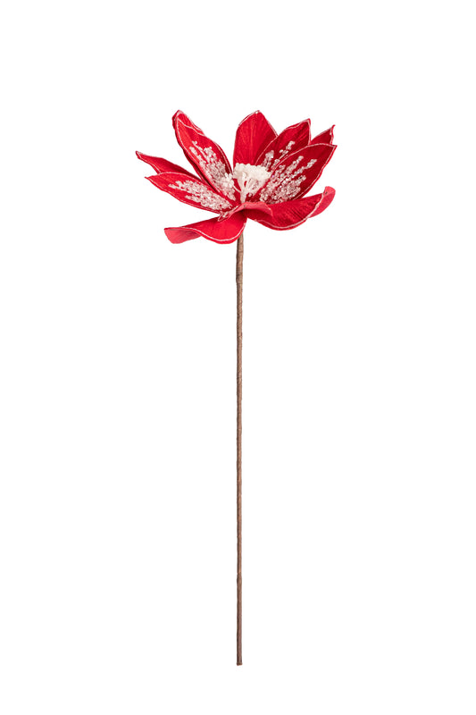 Flor de Nochebuena Roja en Terciopelo