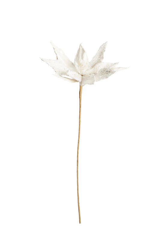Flor de Nochebuena Blanca con Perlas