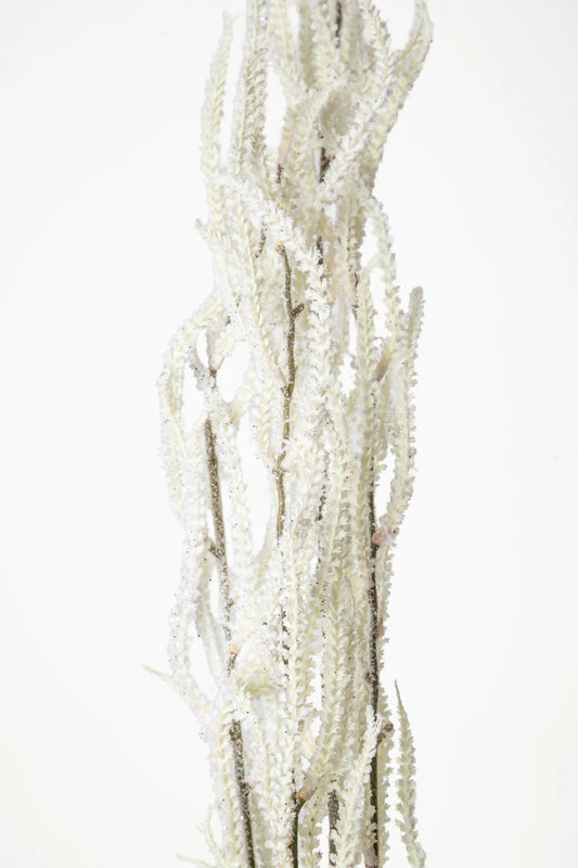 Vara Greñuda Blanca 1M