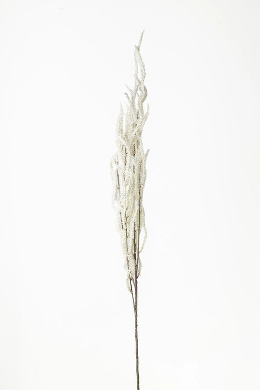 Vara Greñuda Blanca 1M