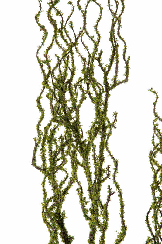 Vara de Musgo Verde