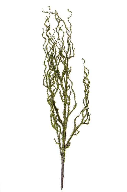 Vara de Musgo Verde
