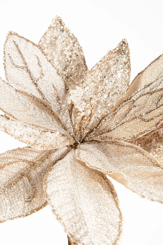 Flor de Nochebuena Champagne con Brillantina