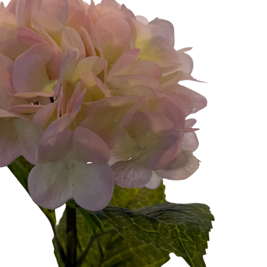 Vara de Hortensia Premium - Rosa Pastel Soft