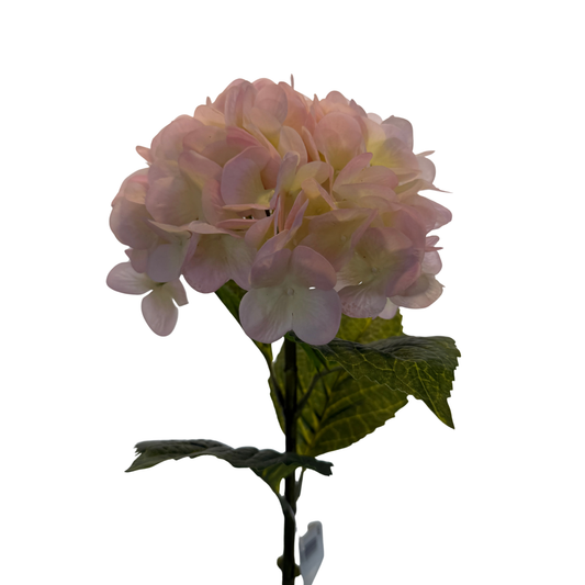Vara de Hortensia Premium - Rosa Pastel Soft