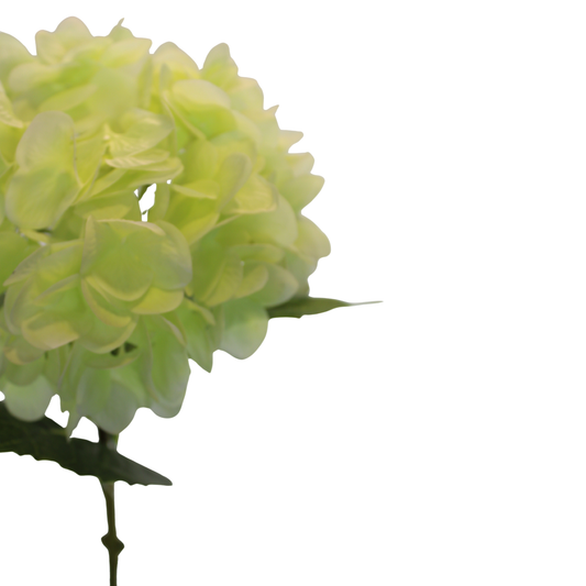 Vara de Hortensia Artificial Premium - Verde Lima