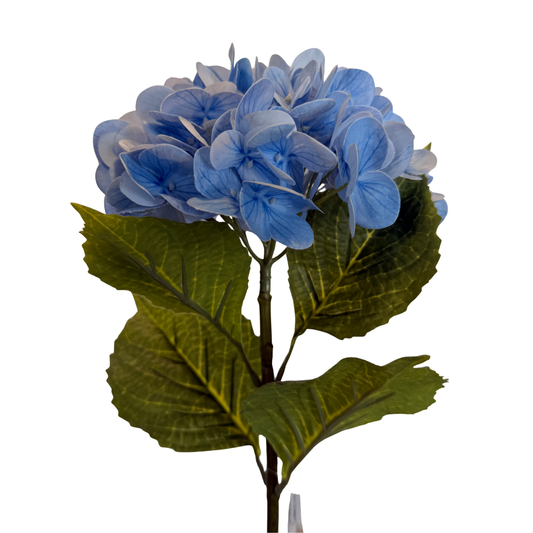 Vara de Hortensia Premium - Azul Cielo