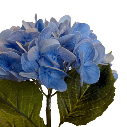 Vara de Hortensia Premium - Azul Cielo