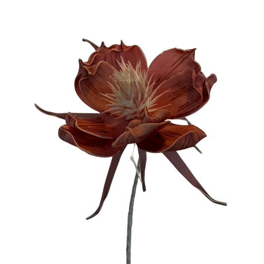 Vara de Magnolia Exótica - Rosa Terracota