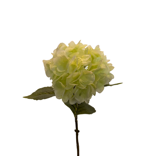 Vara de Hortensia Artificial Premium - Verde Lima
