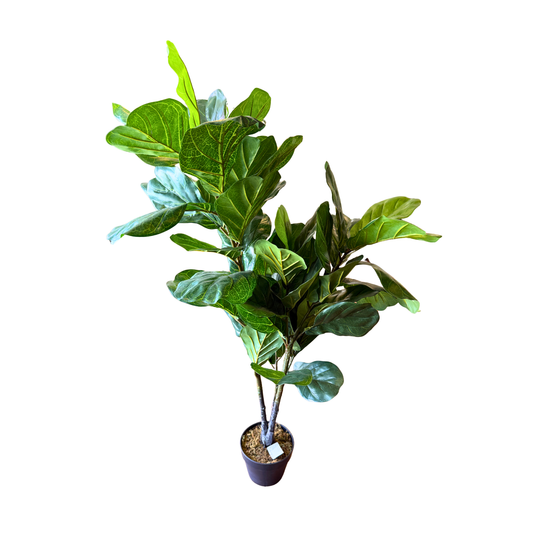 Ficus Pandurata Artificial Premium - 120 cm de Elegancia Botánica