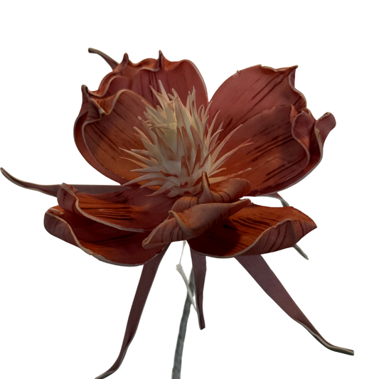 Vara de Magnolia Exótica - Rosa Terracota