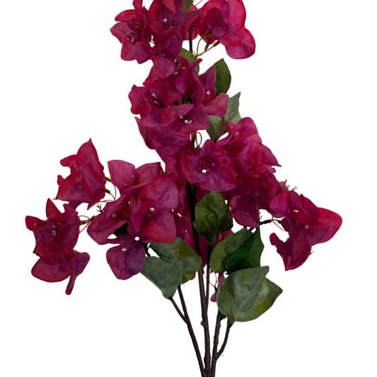 Vara de Bugambilia Imperial - Rosa Profundo