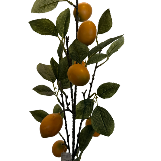 Vara de Limonero Amarillo