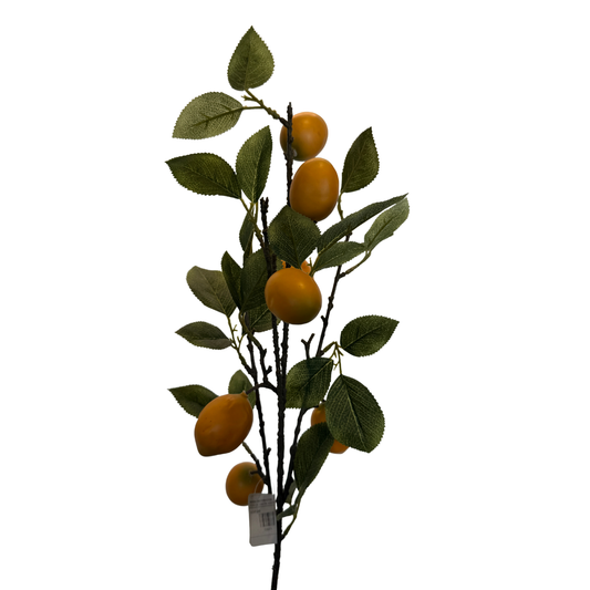 Vara de Limonero Amarillo