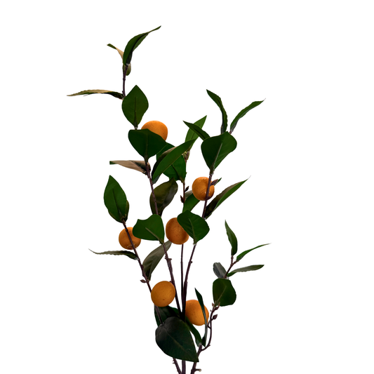Spray de Limonero Imperial - Golden Orchard