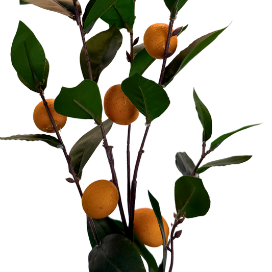 Spray de Limonero Imperial - Golden Orchard