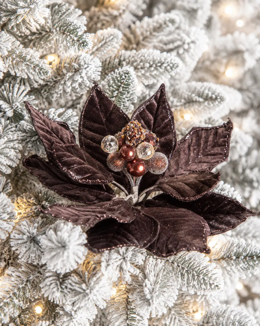 Flor de Nochebuena Café con Cristales