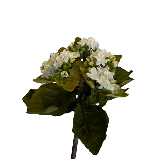 Ramo Mini Kalanchoe Artificial Premium - Blanco Níveo