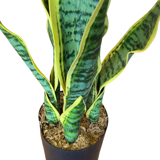 Sansevieria Artificial Premium