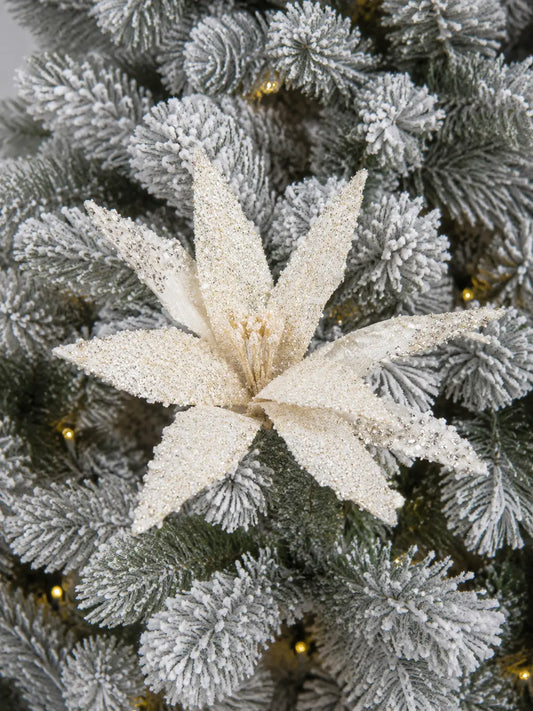 Flor de Nochebuena de Terciopelo Marfil