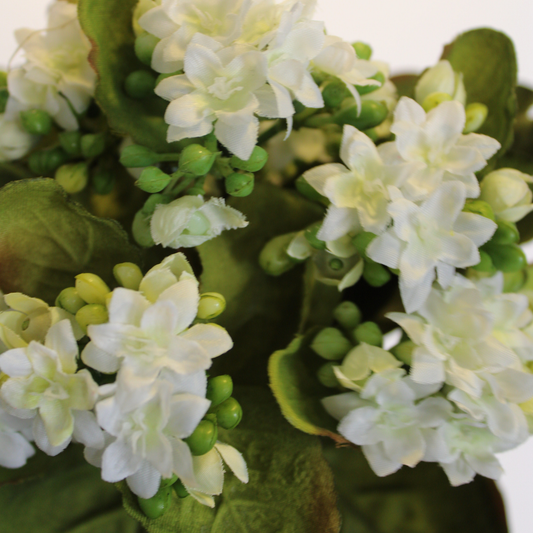 Ramo Mini Kalanchoe Artificial Premium - Blanco Níveo