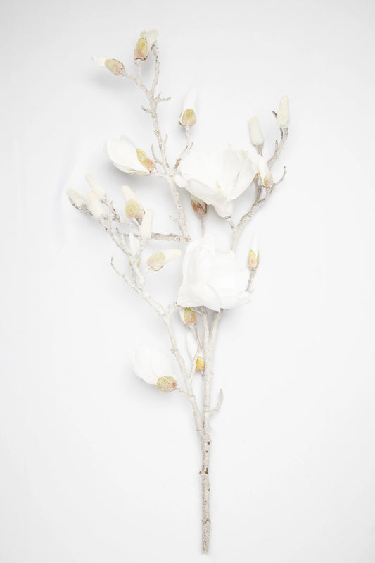 Flor de Magnolia Blanca con Brillantina