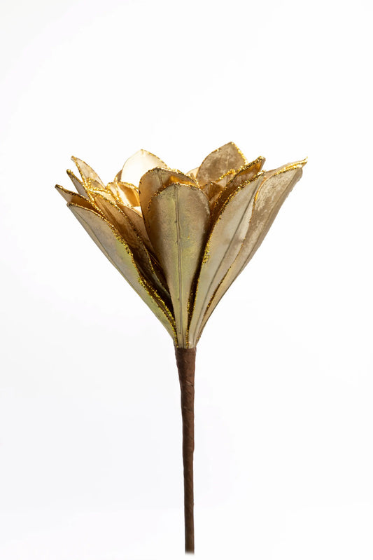Flor Echeveria Dorada
