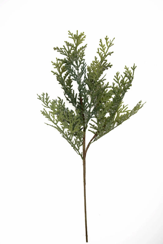 Vara de Cedro Decorativa