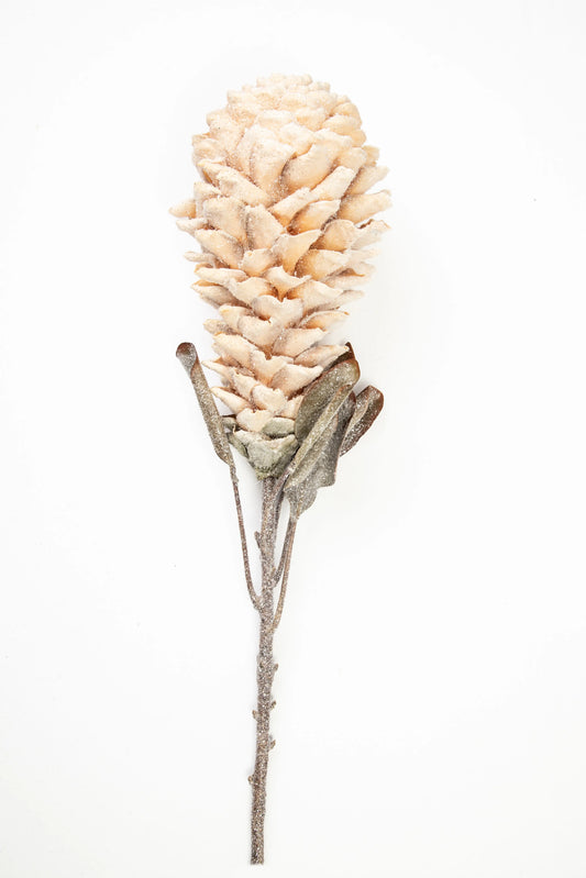Flor de Jengibre