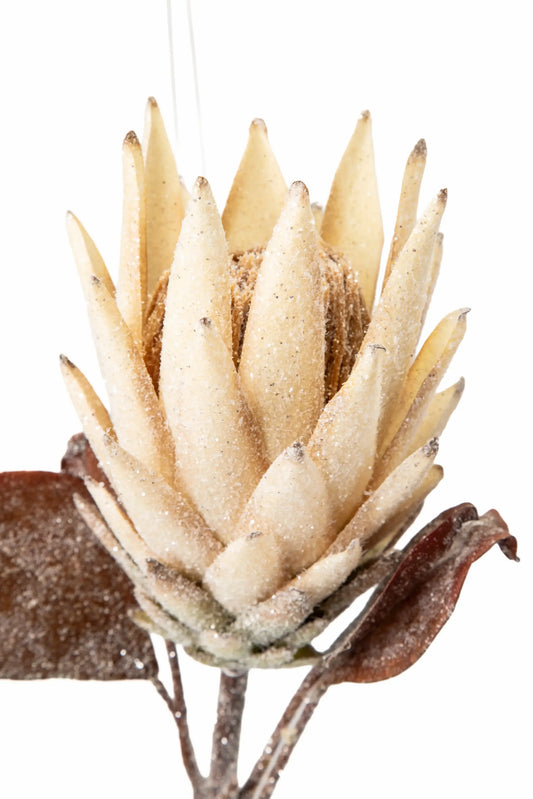 Flor de Protea con Brillantina