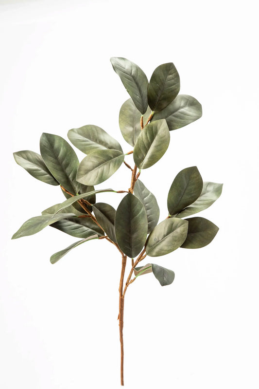 Vara de Hojas de Magnolia Verde