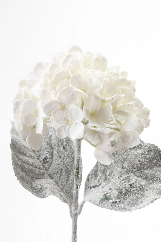 Flor Hortensia Blanca Escarchada