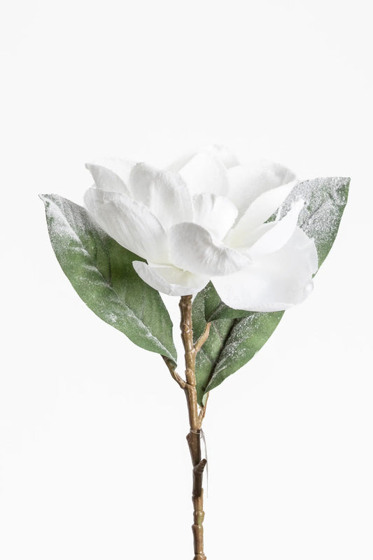 Flor de Magnolia Blanca Nevada