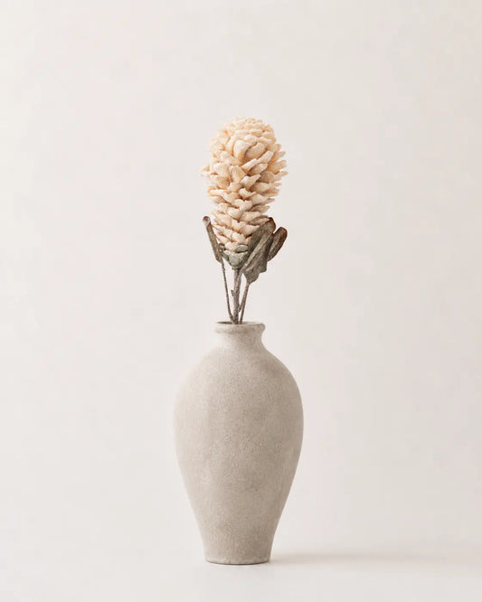 Flor de Jengibre